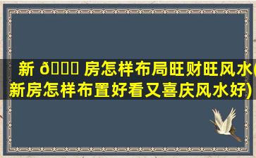新 🐕 房怎样布局旺财旺风水(新房怎样布置好看又喜庆风水好)